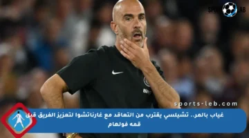 غياب بالمر.. تشيلسي يقترب من التعاقد مع غارناتشوا لتعزيز الفريق قبل قمة فولهام